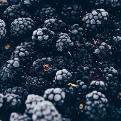 Moras congeladas IQF     