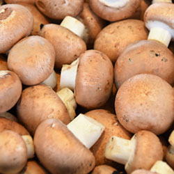 Champignon fresco por kilo de 1ra 