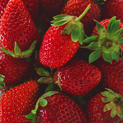 Frutillas congeladas IQF   
