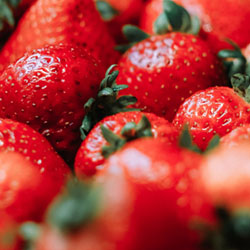 Frutillas en Block
